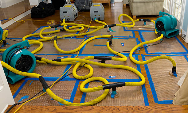 Professional Water Extraction technician working in Livingston, IL
